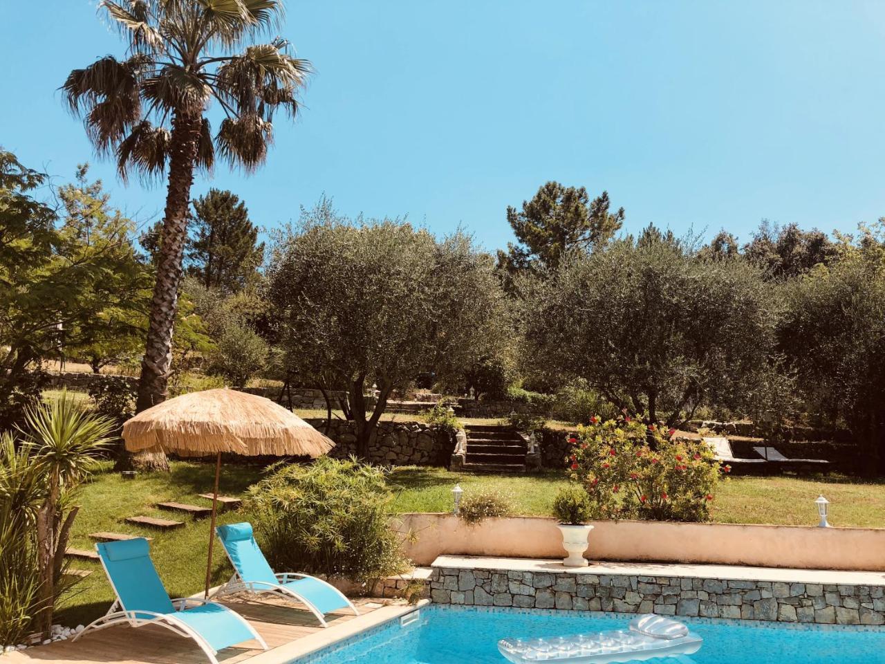 Maison De Vacances Villa Cardabella Le Tignet Εξωτερικό φωτογραφία